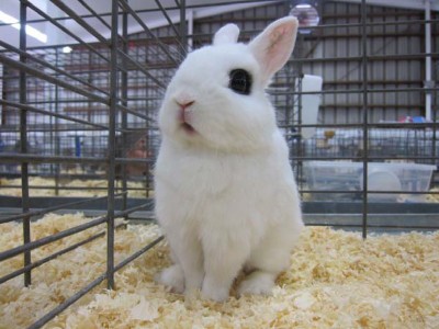 Exponential growth waiting to happen Gus Lubin